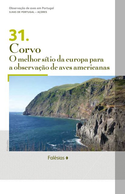 ObservaÃ§Ã£o de aves: Portugal - turismodeportugal.pt