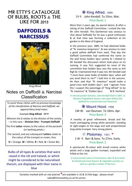 Trevithian Daffodil:Daffodil Bulbs