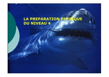 LA PREPARATION PHYSIQUE N4