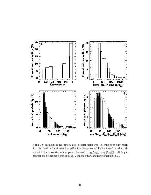 Forming Binary Near-Earth Asteroids From Tidal Disruptions