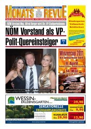 WESSIN- - Monatsrevue.at