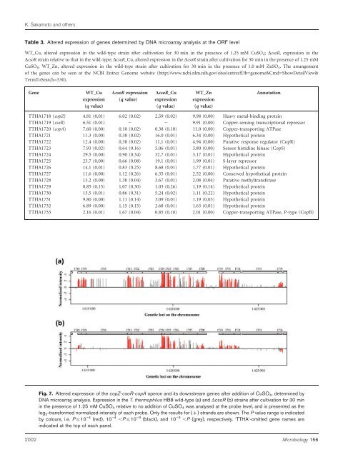 Structural and functional characterization of the ... - Microbiology