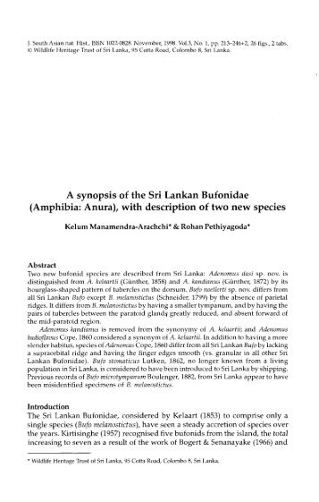 A synopsis of the Sri Lankan Bufonidae (Amphibia: Anura) - WHT