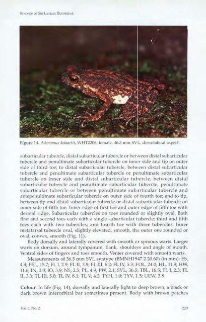 A synopsis of the Sri Lankan Bufonidae (Amphibia: Anura) - WHT