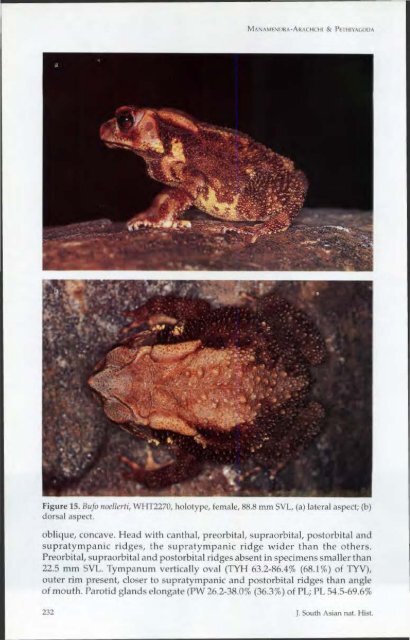 A synopsis of the Sri Lankan Bufonidae (Amphibia: Anura) - WHT