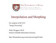 Lecture 1: Interpolation and Morphing - biomachina.org
