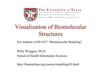 Lecture 1: Visualization of Biomolecular Structures - biomachina.org