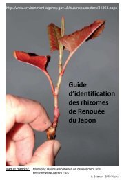 fiche d'identification des racines et rhizomes de ... - EPTB Vilaine