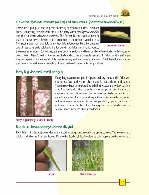 priciples of insecticide use in rice ipm