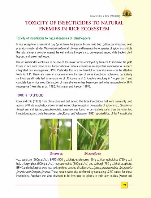 priciples of insecticide use in rice ipm