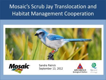 Mosaic's Scrub Jay Translocation and Habitat Management ...