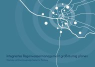 Kruse Integriertes Regenwassermanagement 10 ... - Projekt RISA