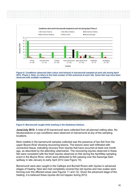 Gladstone Fish Health Investigation 2011 - 2012 - Western Basin ...