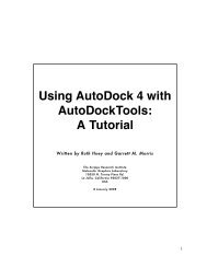 AutoDock (pdf)