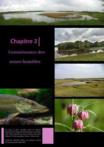 Connaissances des zones humides - PÃ´le-relais lagunes ...