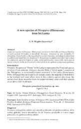 A new species of Diospyros (Ebenaceae) from Sri Lanka - WHT