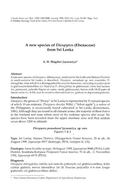 A new species of Diospyros (Ebenaceae) from Sri Lanka - WHT