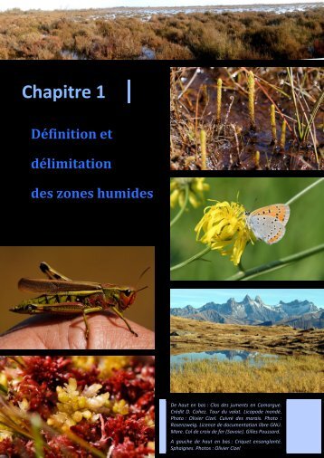 DÃ©finition et dÃ©limitation des zones humides - PÃ´le-relais lagunes ...