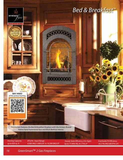 GreenSmartâ¢ 2 Gas Fireplaces