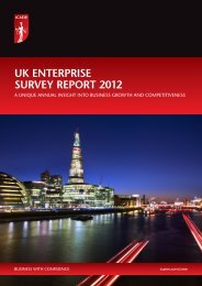the icaew uk enterprise survey report 2012 - cobcoe.eu