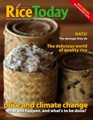 Rice and climate change - adron.sr