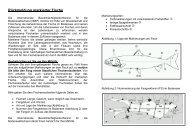 Umgang mit markierten Fischen - Informationen zu Natur, Jagd und ...