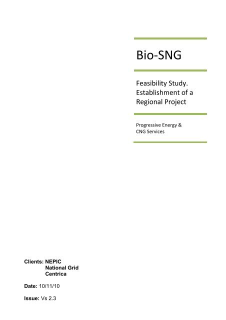 Bio-SNG - CNG Services