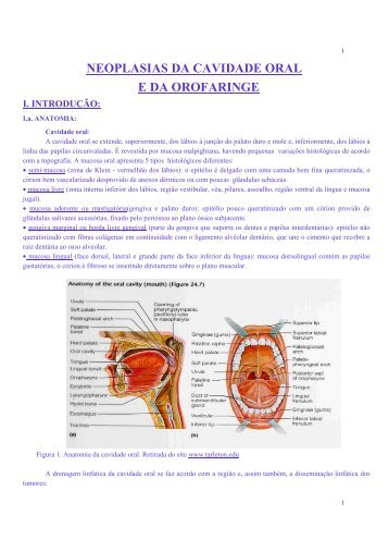 NEOPLASIAS DA CAVIDADE ORAL E DA OROFARINGE