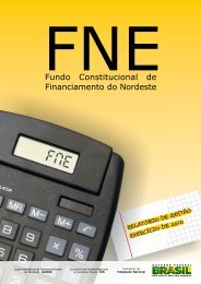 RelatÃ³rio de GestÃ£o FNE 2010 - Sudene