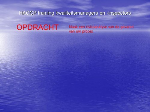 Manual training kwaliteitsmanagers en auditors - adron.sr