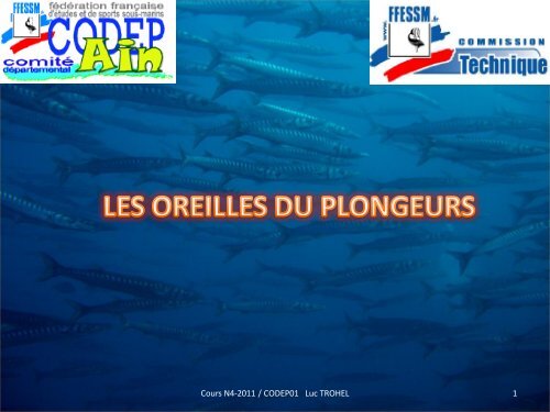 L'influx nerveuxâ¦ - ffessm