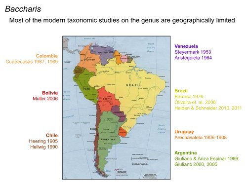 Baccharis Systematics (Astereae) - Fapesp