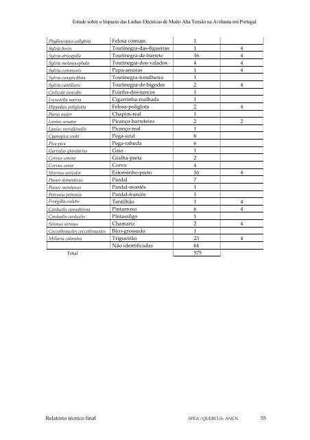 Protocolo REN-ICN.pdf - Centro de InformaÃ§Ã£o REN