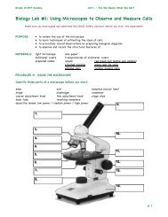 Biology Lab #1