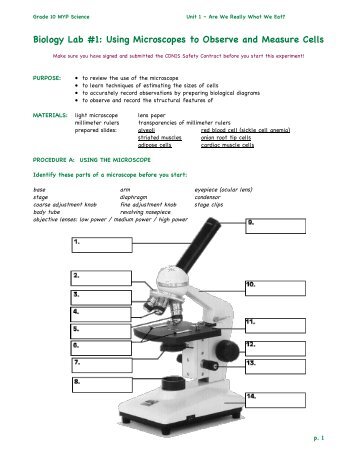 Biology Lab #1