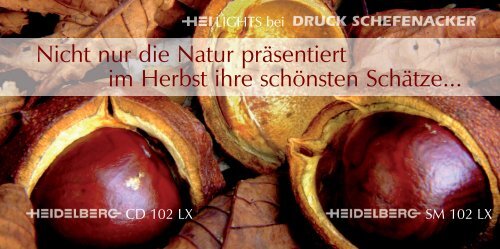 Nicht nur die Natur präsentiert im Herbst ihre schönsten Schätze...