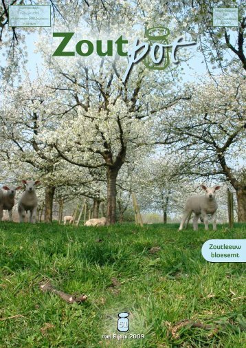 Zoutpot nr. 51 - Stad Zoutleeuw
