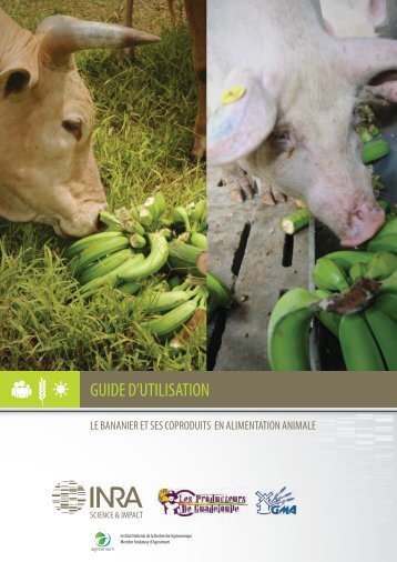 Guide d'utilisation - TransFAIRE - Inra