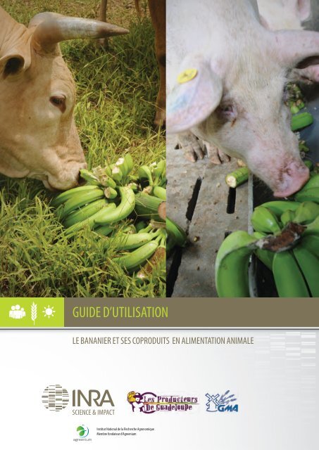 Guide d'utilisation - TransFAIRE - Inra