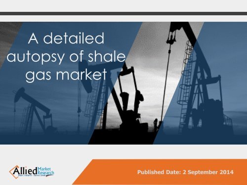 Global Shale Gas Market Forecast 2013 - 2020 