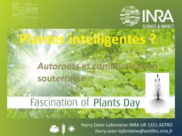 Plantes intelligentes ? Autoroots et communication - TransFAIRE - Inra