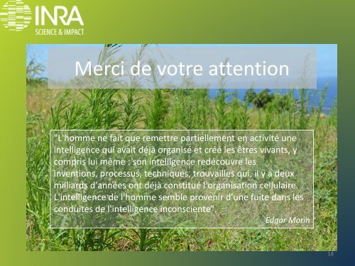 Plantes intelligentes ? Autoroots et communication - TransFAIRE - Inra