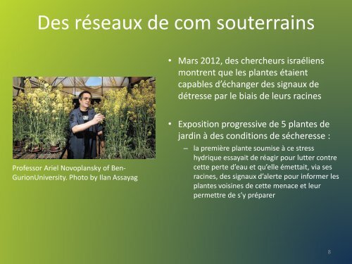 Plantes intelligentes ? Autoroots et communication - TransFAIRE - Inra