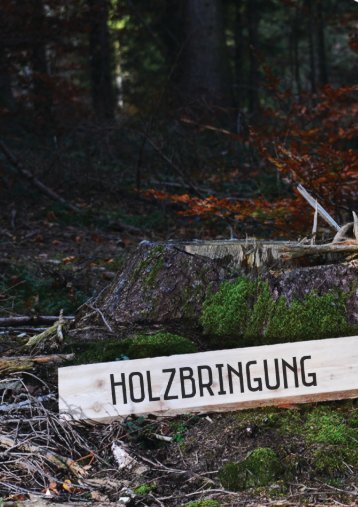 Interforst Holzbringung 2015/2016