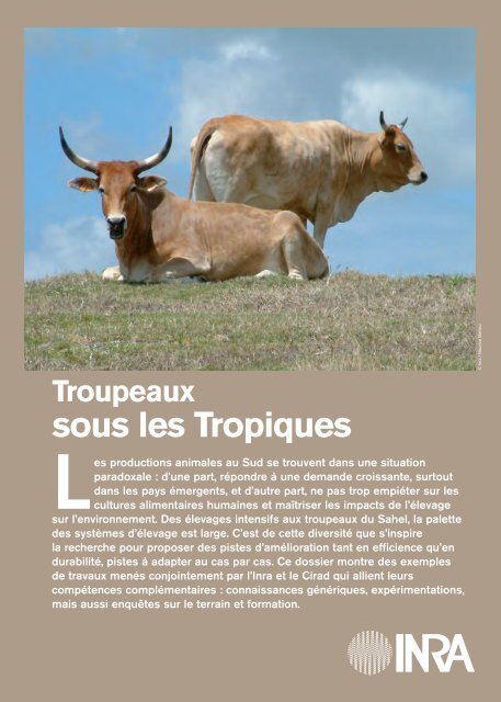 Troupeaux sous les tropiques - TransFAIRE - Inra