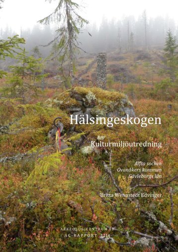 HÃ¤lsingeskogen - Bergvik Skog informerar om vindkraft