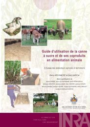 la canne Ã  sucre dans l'alimentation animale - TransFAIRE - Inra