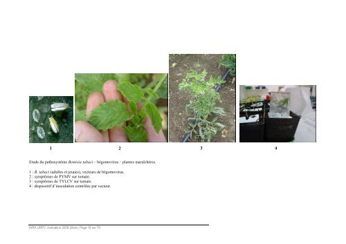 Bilan-Scientifique UR979 - Inra