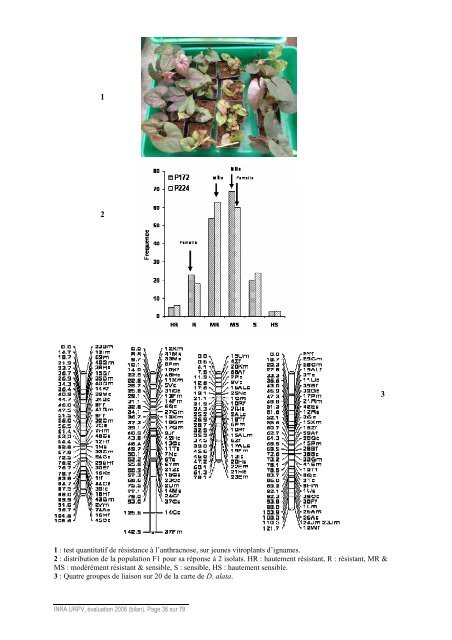 Bilan-Scientifique UR979 - Inra