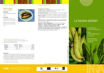 La banane plantain - TransFAIRE - Inra